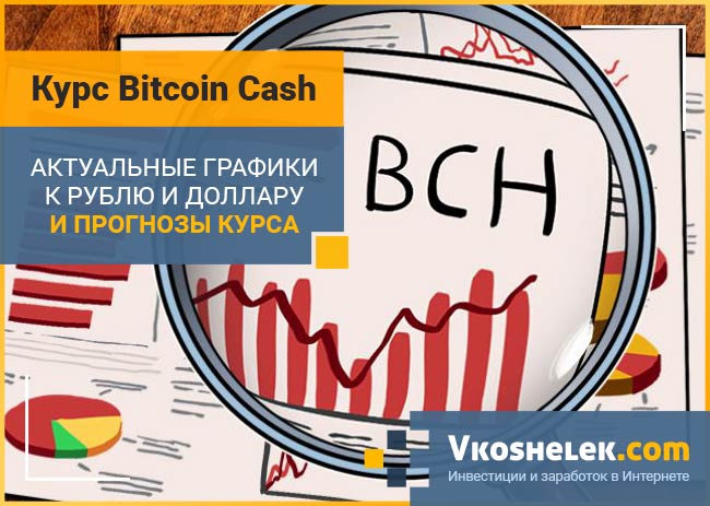 Криптовалюта Bitcoin Cash и перспективы - борьба курса BCH и BTC