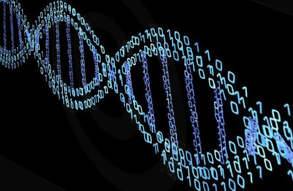 10 сходств ДНК и технологии блокчейн