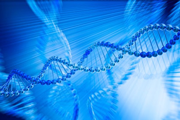 10 сходств ДНК и технологии блокчейн