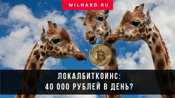 Сколько можно заработать торговлей на LocalBitcoins: 40 тыс. руб. в день?