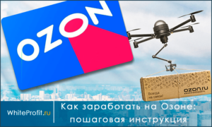 ozon zarabotok 300x180 - Основная схема заработка в ЯНДЕКС ТАКСИ, правила для новичков, как заработать в такси больше в 2024?