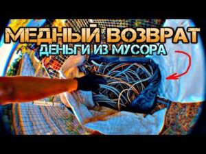 Россиянам назвали неочевидные симптомы проблем с сердцем - Форпост-Севастополь - информационный портал Крыма